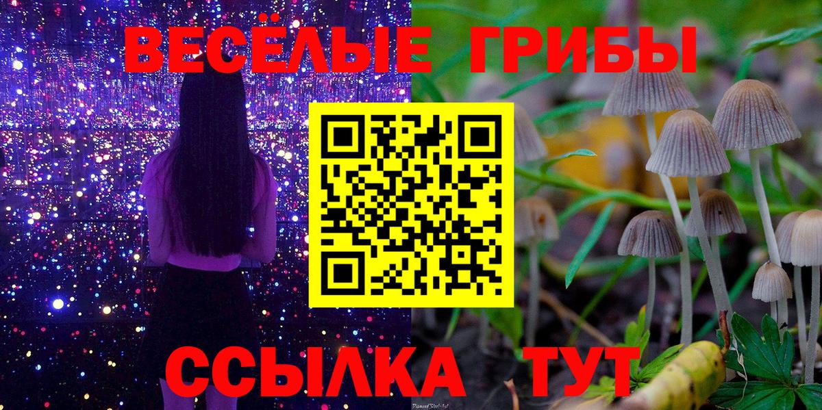 Гагарин  Галлюциногенные грибы Magic Shrooms  Вход с VPN  Псилоцибиновые грибы MAGIC MUSHROOMS 