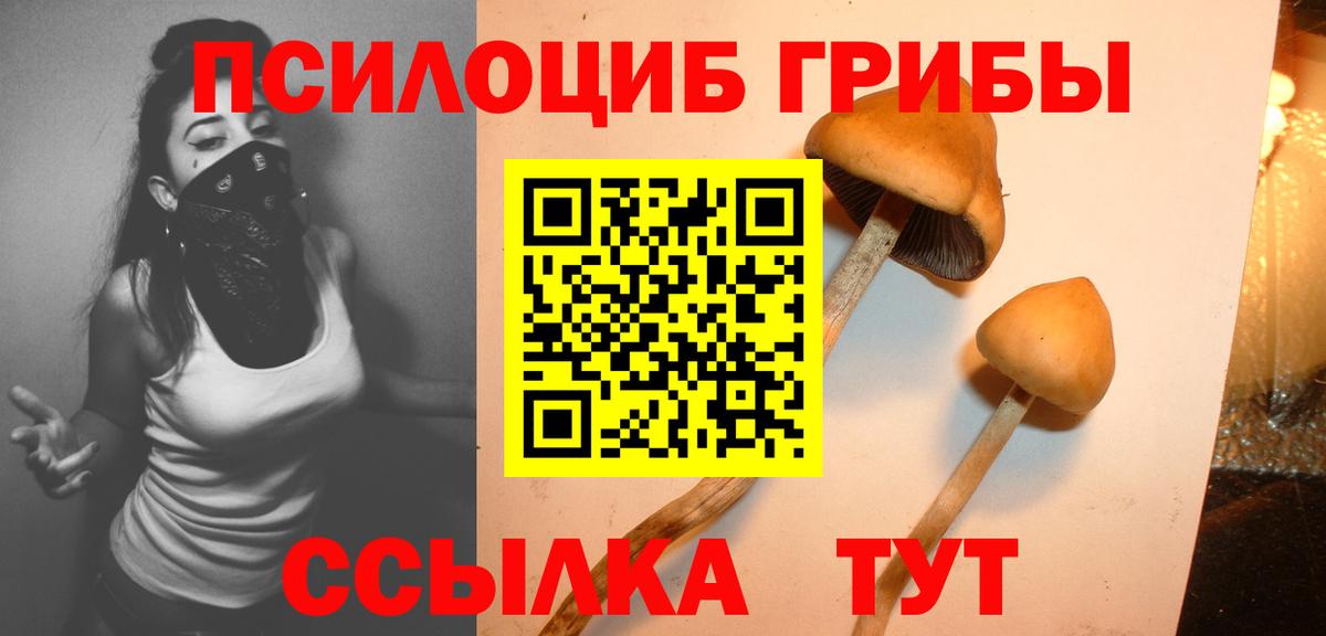 Псилоцибиновые грибы GOLDEN TEACHER Гагарин